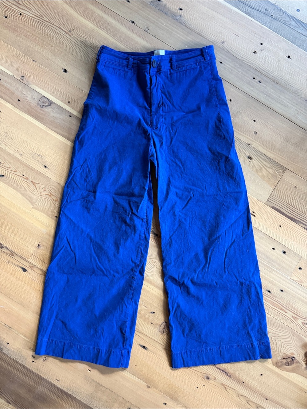 Anthropologie Wide-Leg Pants in Royal Blue